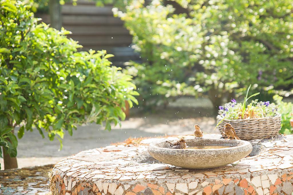 7de Hemel Bed & Breakfast 3*